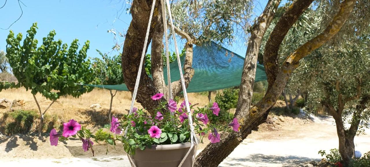 Lily Home_Lefkada ~ Private Country House Kondaraíni Exterior photo