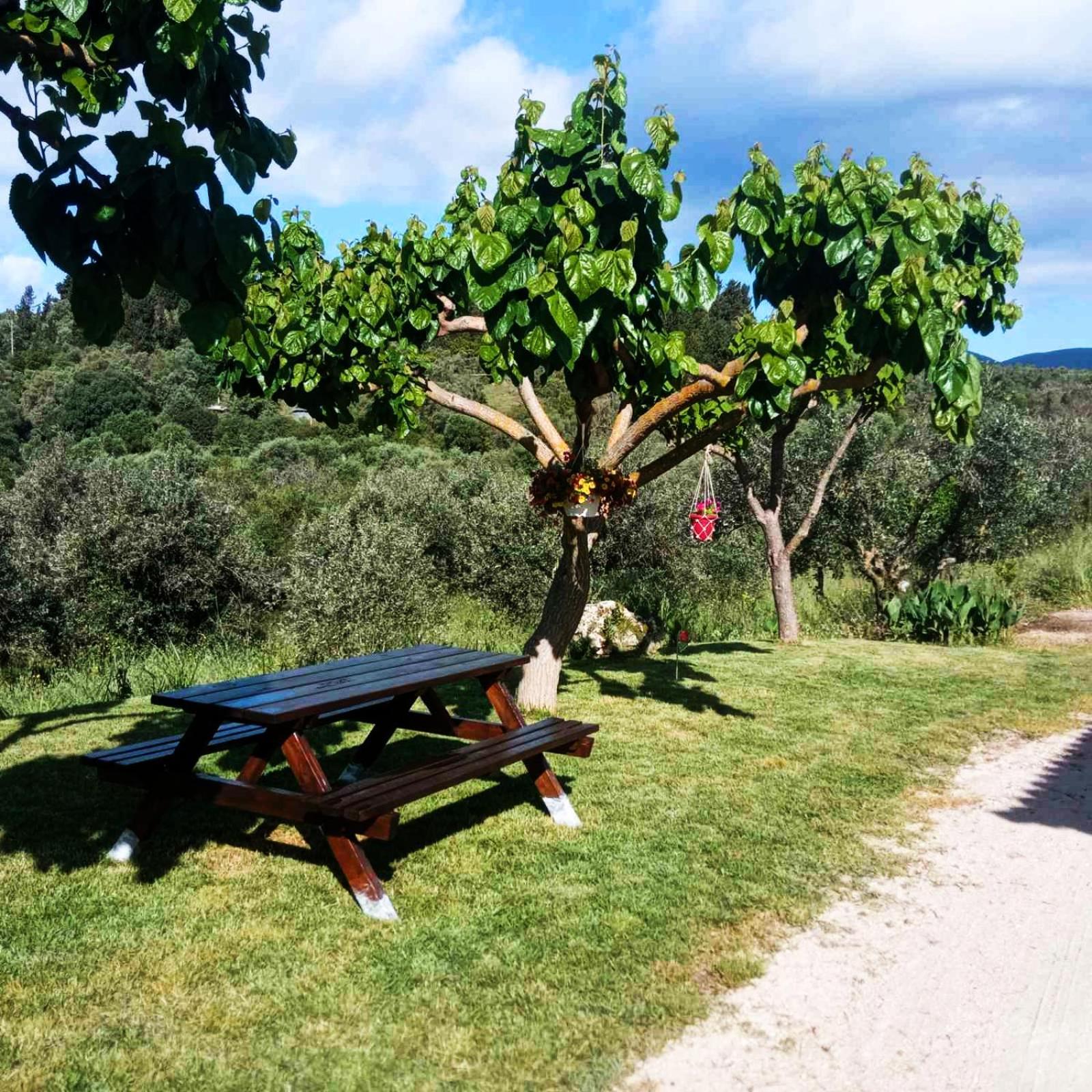 Lily Home_Lefkada ~ Private Country House Kondaraíni Exterior photo