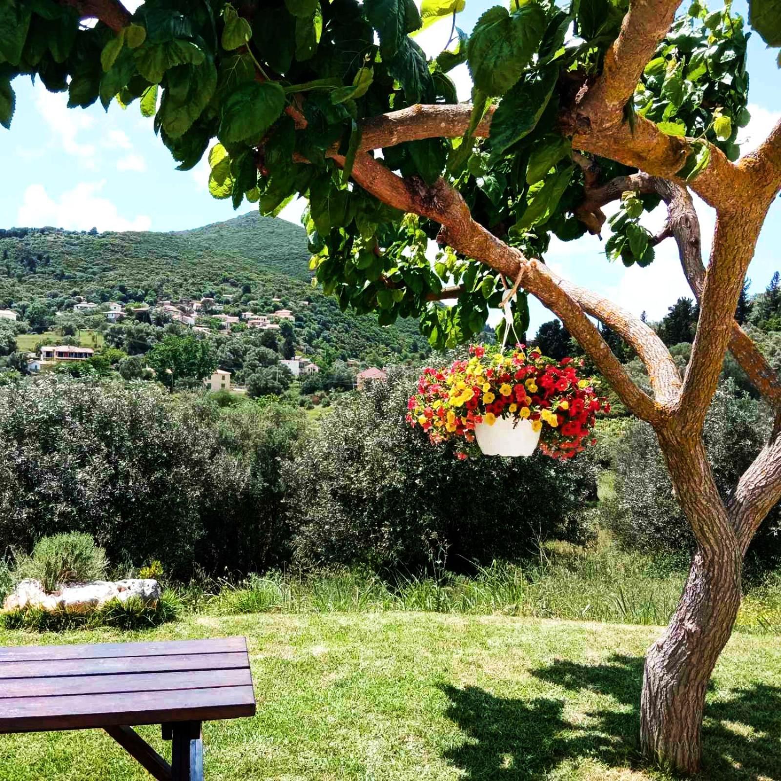 Lily Home_Lefkada ~ Private Country House Kondaraíni Exterior photo